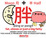 Character for word 'fat' in Mandarin Chinese